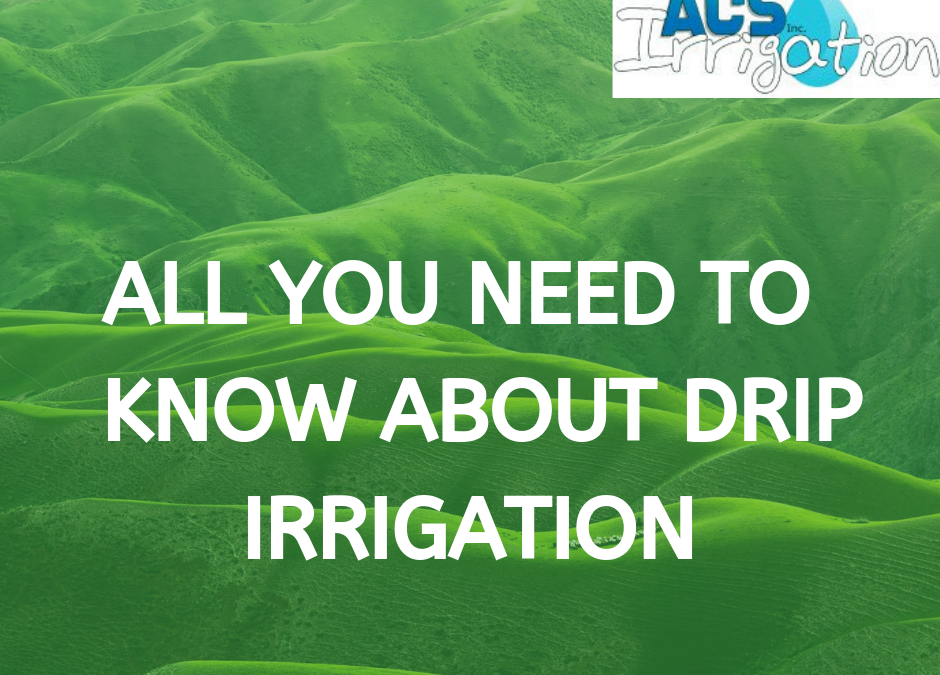 HOW EFFECTIVE IS DRIP IRRIGATION SYSTEM?
