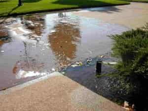 HOW YOU CAN GET RID OF STANDING WATER IN YOUR YARD