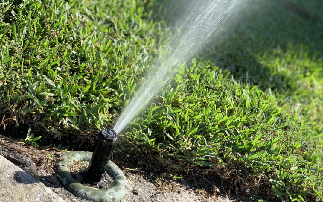7 Things to Do Contacting Sprinkler - ACS Irrigation