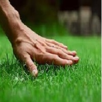 Five Best Home Practice Water Saving and Lawn Care Tips
